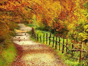 Beautiful+Autumn+Scenery+Wallpapers+011